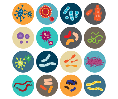 背景情報：微生物ゲノミクスの多くの側面
