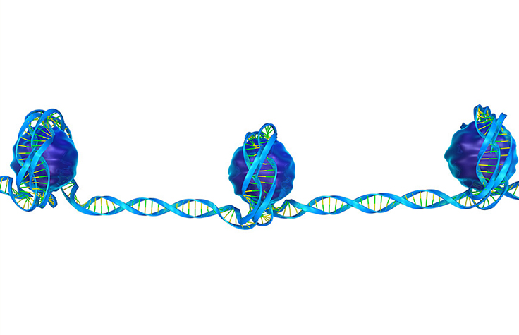 在游离DNA中寻找癌症驱动基因表达的线索