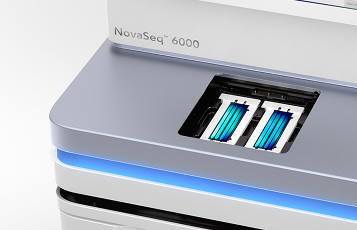 Human WGS on the NovaSeq 6000 System