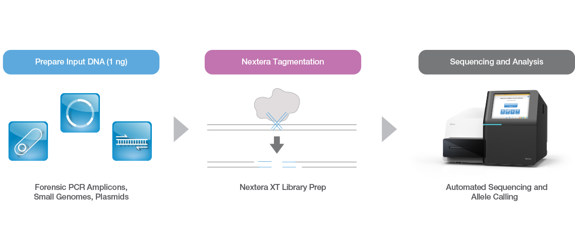 Nextera XT Library Preparation Workflow