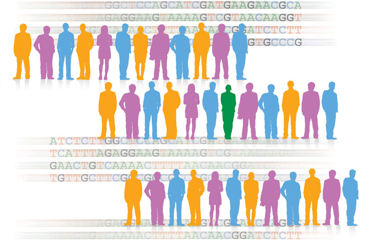 人类基因分型的优势