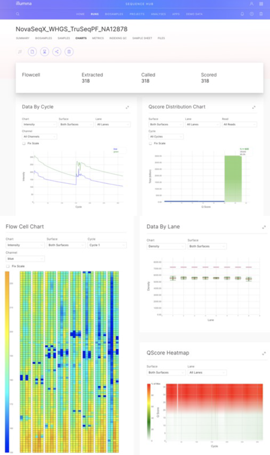 bssh monitor in real-time