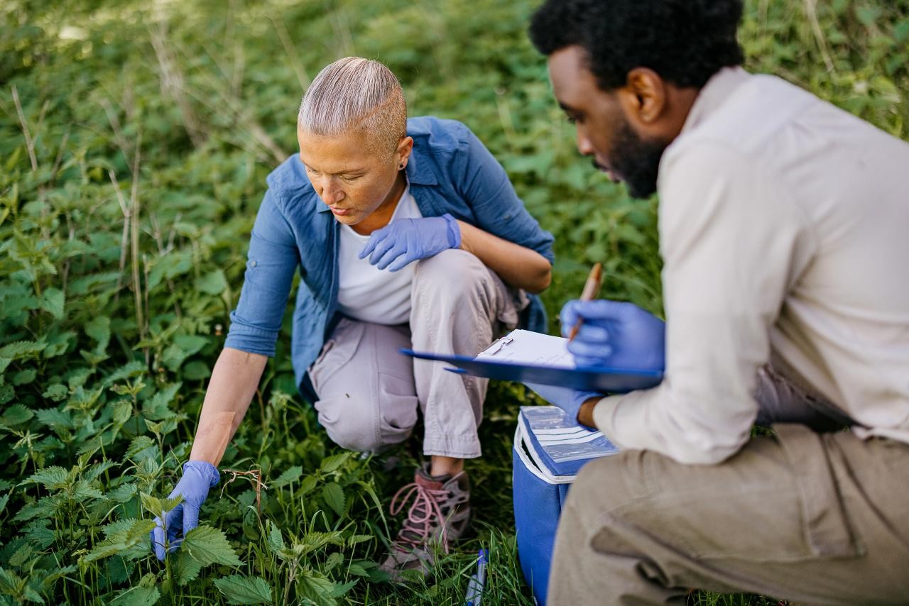 employees and sustainability