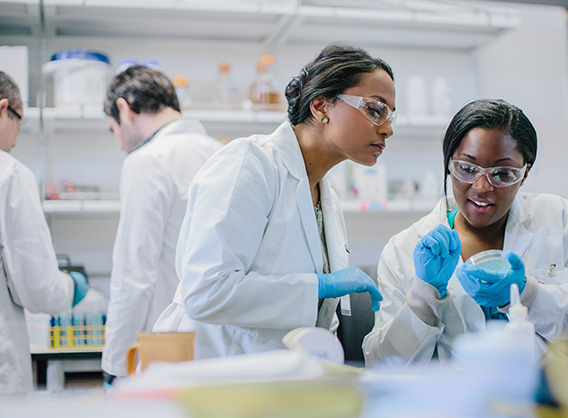 female scientist working in laboratory