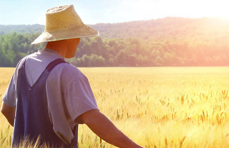 Accelerating Agrigenomics Breakthroughs