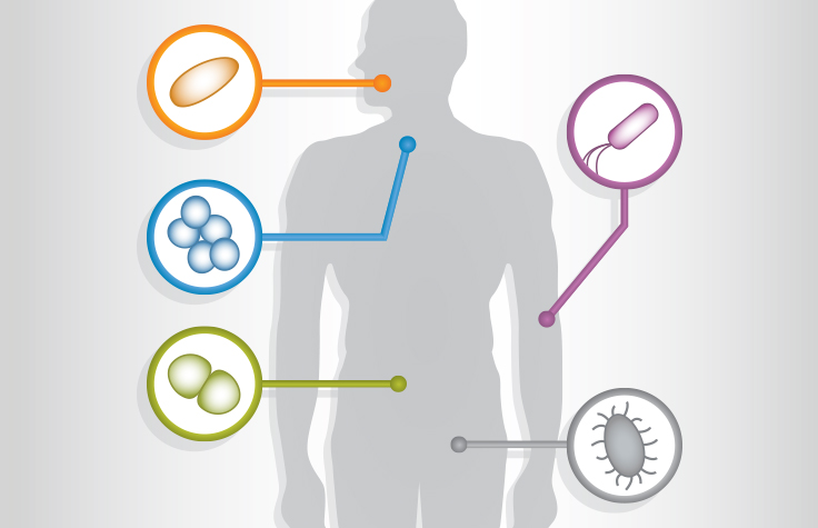 Introduction to Human Microbiome Analysis