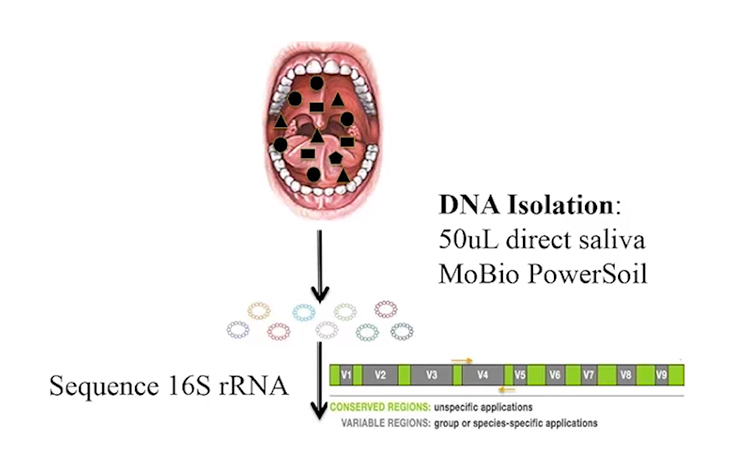 Cancer and the Oral Microbiome: A Metagenomics Approach