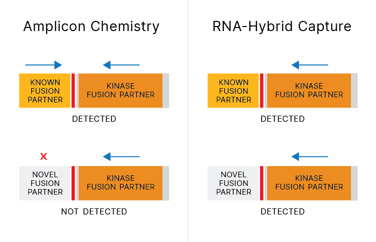 chart showing difference between amplicon chemistry and rna-hybrid capture