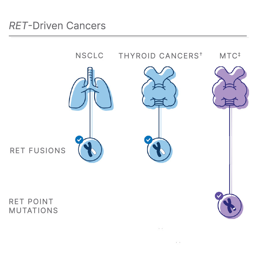 ret driven cancers nsclc thryoid cancers mtc