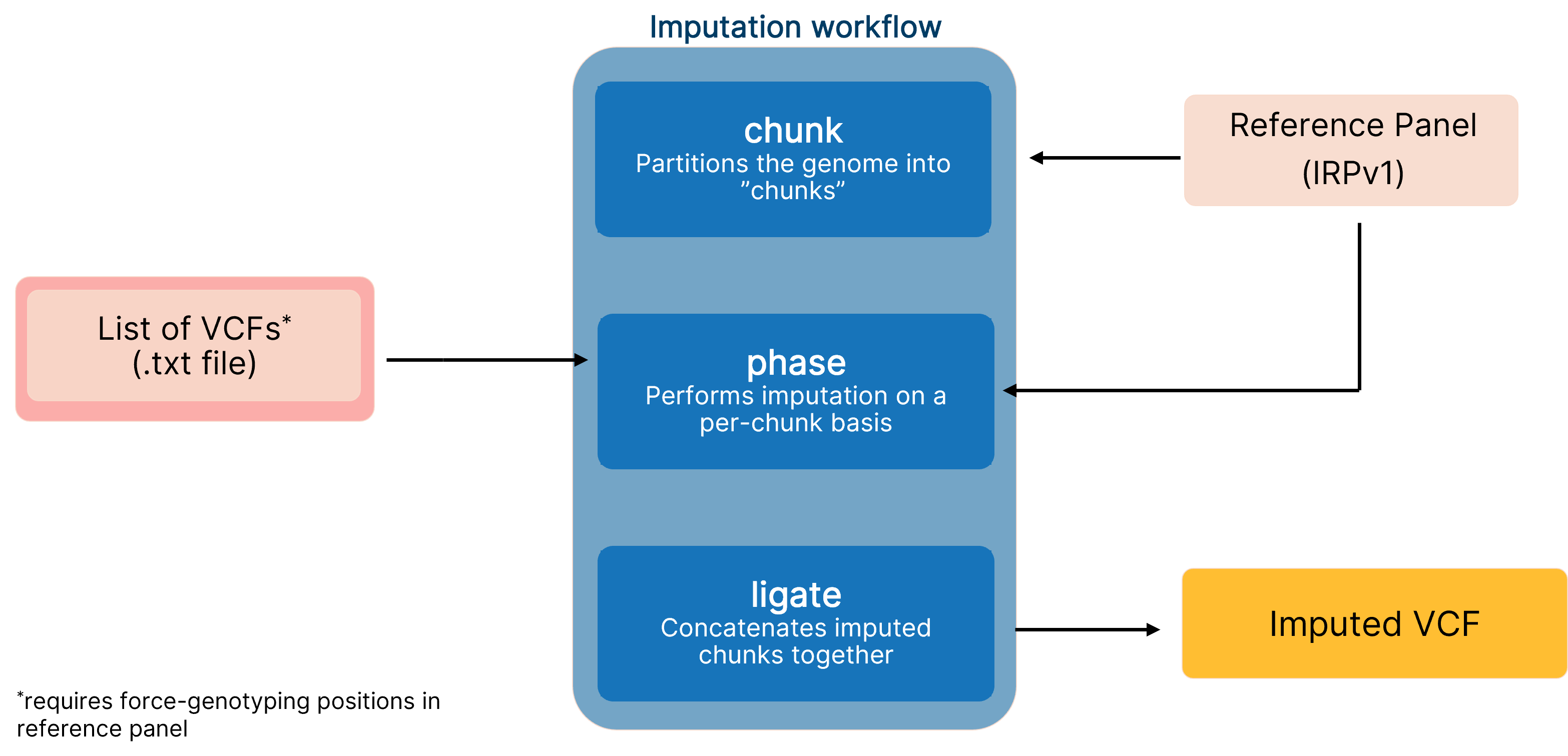 Figure 1. DRAGEN imputation workflow