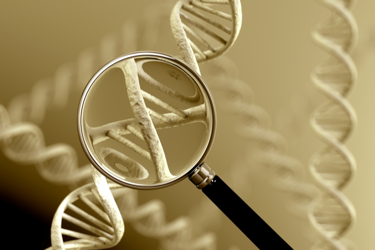Targeted DNA Analysis