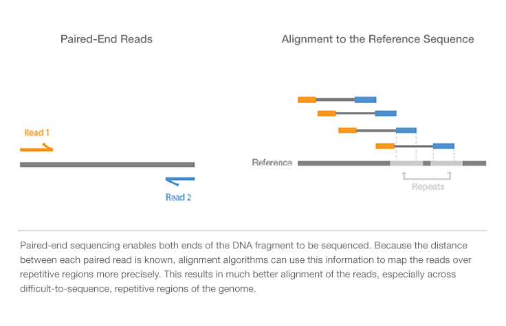 Paired-End Sequencing