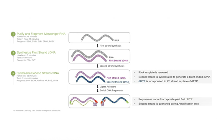 RNAシーケンス第一部：イルミナRNAライブラリー調製ワークフローのご紹介