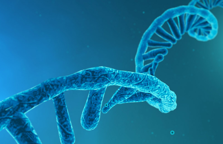 RNA-Seq技术的进展