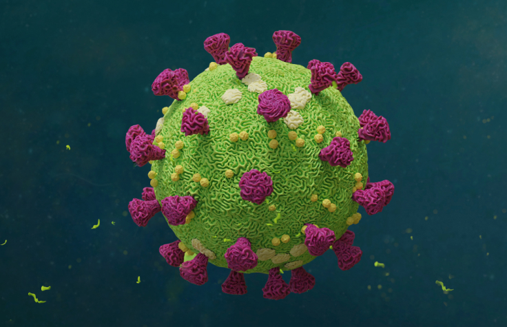 识别新冠病毒菌株和其他新出现的病原体