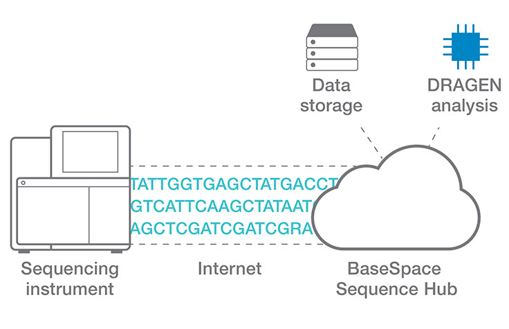 dragen on basespace sequence hub