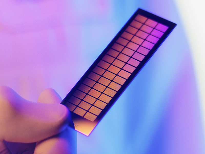 Infinium Global Screening Array v4