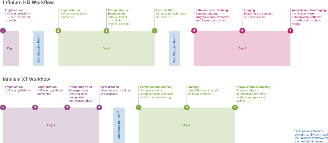 infinium xt workflow improvements