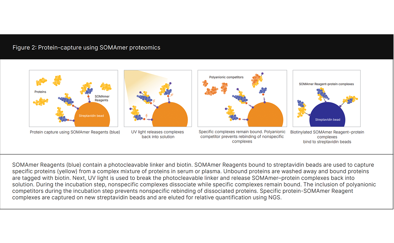 Protein-capture using the SOMAScan assay