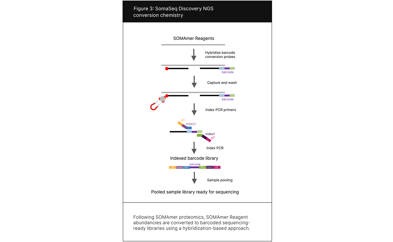 lllumina Protein Prep NGS conversion chemistry