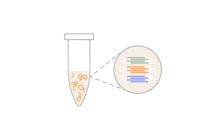 3' RNA library prep